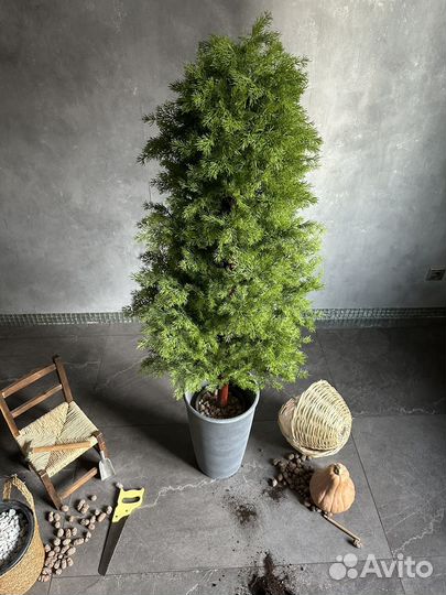 Искусственная туя