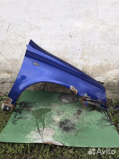 Передние крылья