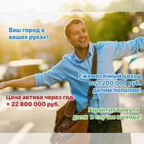 Готовый бизнес. Сервис управления репутацией, Тирасполь