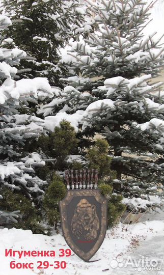 Щит с шампурами