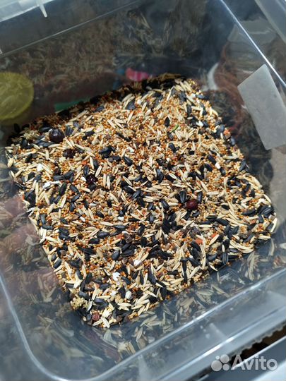 Большая клетка для попугаев (90/40/50)