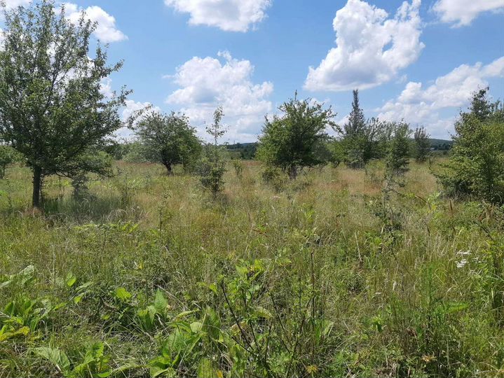 Участок 1,14 га (СНТ, ДНП)