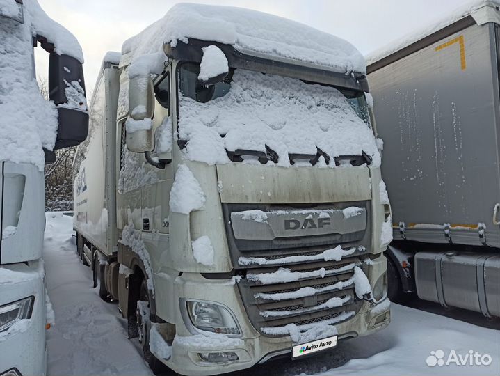 Тентованный грузовик DAF XF 480, 2022