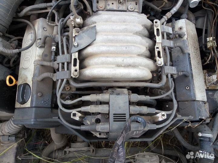 Audi 100