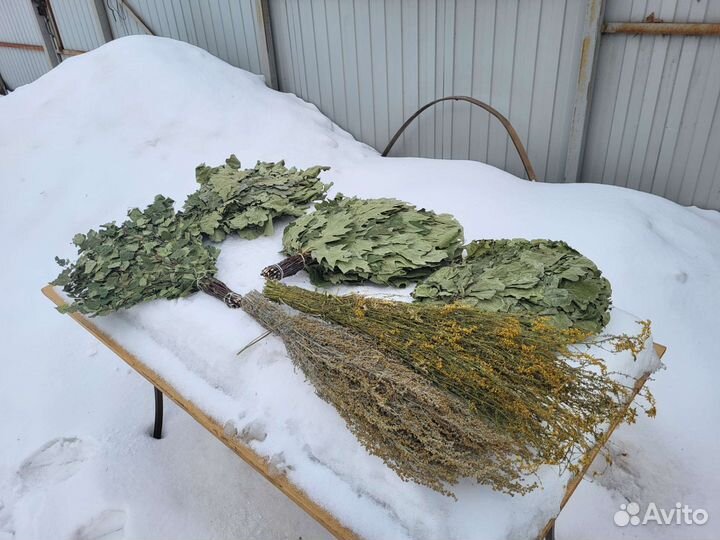 Веники канадский дуб