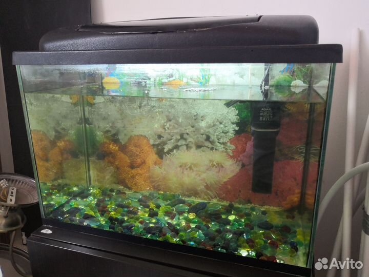 Аквариум бу