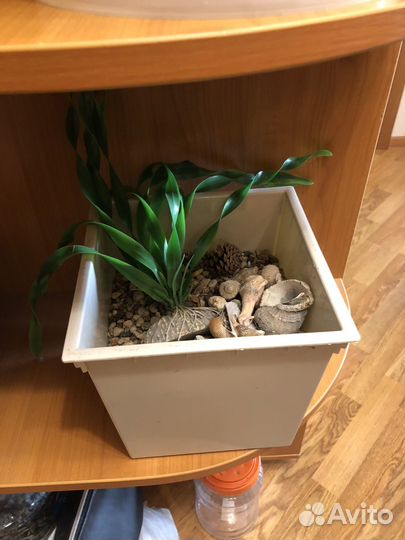 Украшения для аквариума