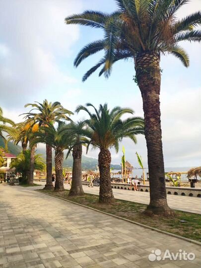 Трансфер минивэн