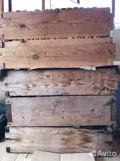 Рамы пчелиные