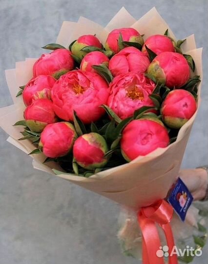 Пионы Цветы Доставка