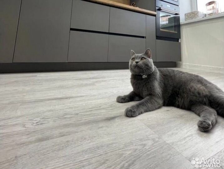 Сборка и установка кухни