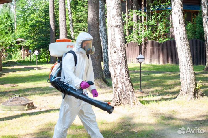 Обработка от тараканов, уничтожение клопов