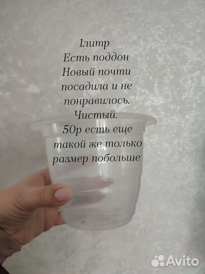 Горшок для цветов, дисхидия, сциндапсус