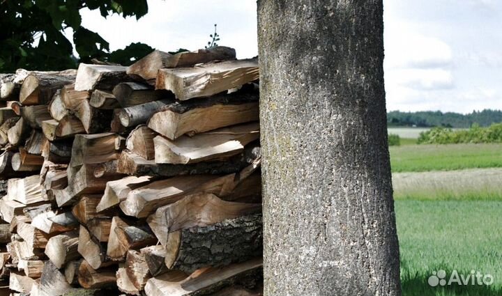 Дрова Ольховые