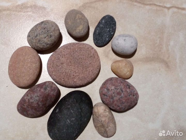 Морские камушки и ракушки