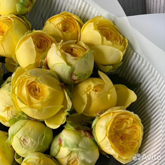 Букет Желтые Пионовидные Розы