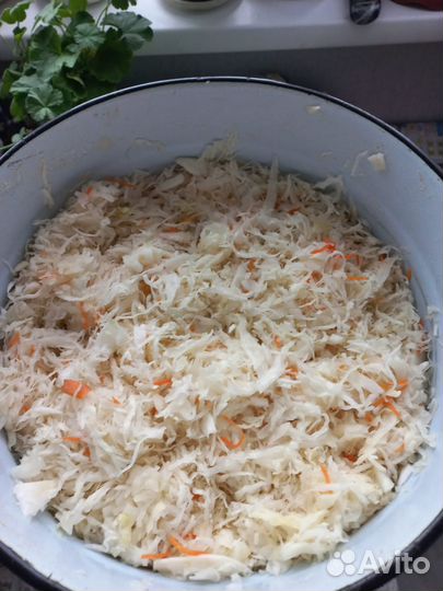 Капуста квашеная