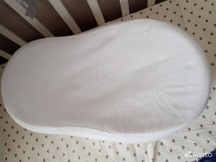 Кокон Зевушка