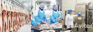 Мираторг Работа без опыта обвальщик мяса