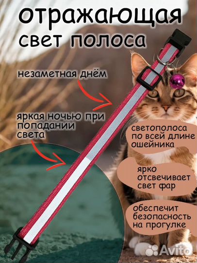 Ошейник 19-32 см для кошек и маленьких собак