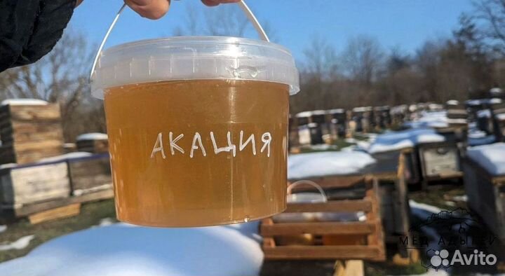 Мед натуральный. Свой мед