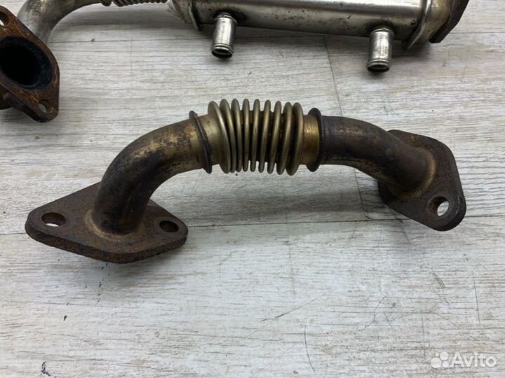 Охладитель егр Nissan Navara 2.5 2006