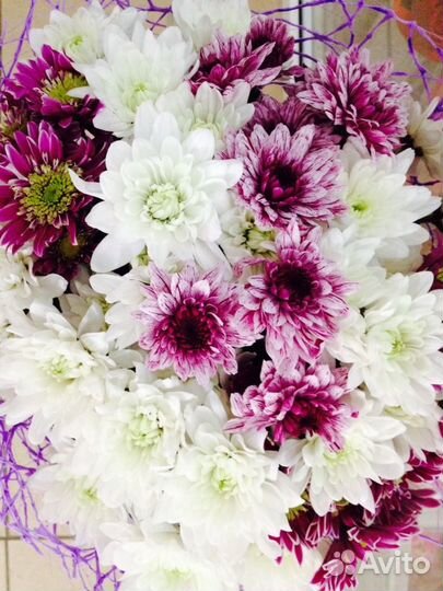 Букет 11 хризантем. Доставка