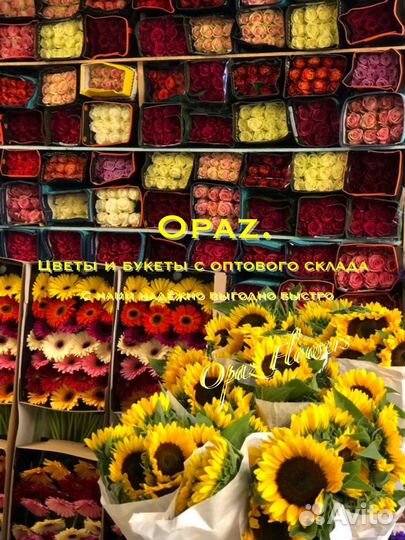 Розы цветы букет 51 роза