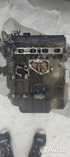 Двигатель zetec fydd 1.6 Форд Фокус 1
