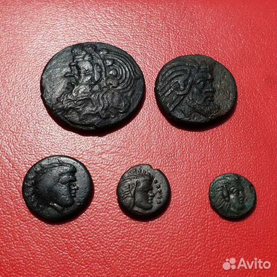 Античная монета Боспорское царство