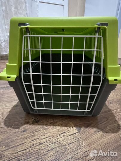 Переноска в аренду