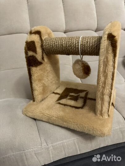 Когтеточка