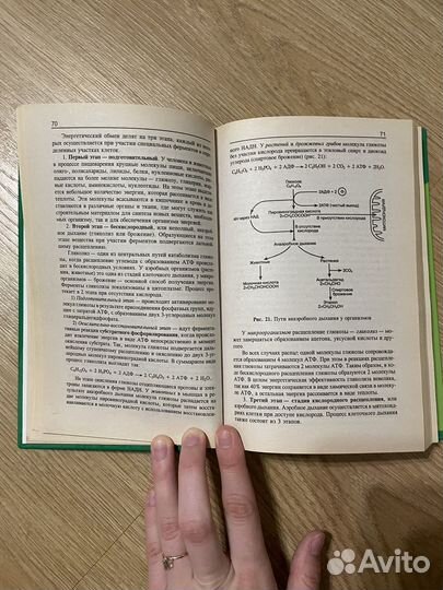 Репетитор по биологии книга