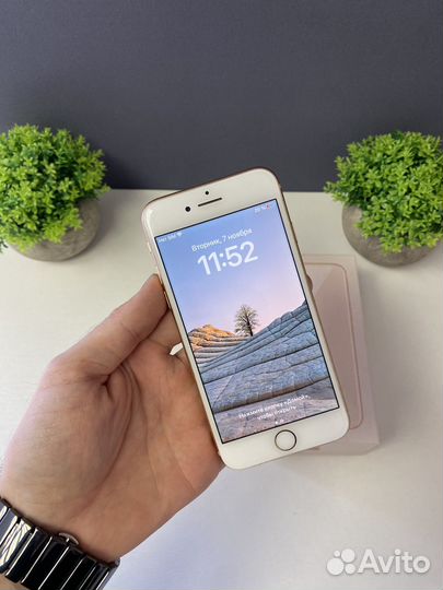 iPhone 8, 64 ГБ