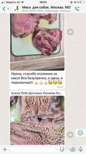 Мясо говядины для собак