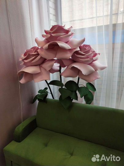 Роза на фотосессиию. Витрины магазина