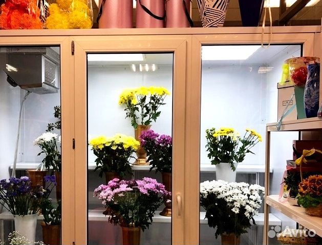 Холодильная камера для цветов