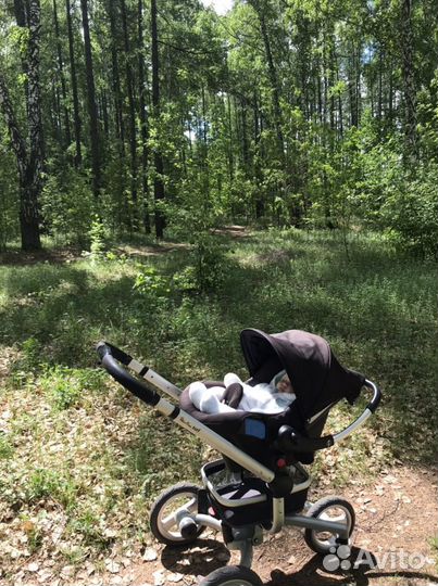 Коляска Silver cross Surf