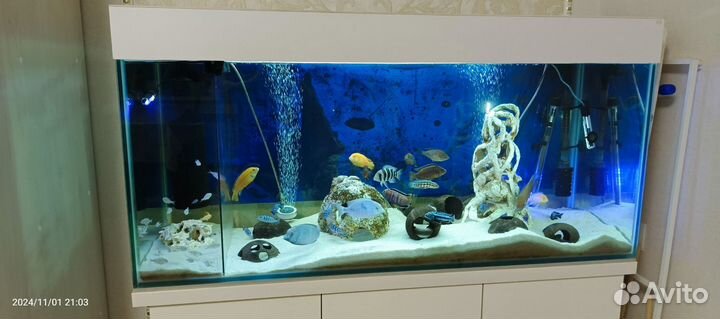 Аквариум 250 литров с тумбой