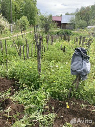 Услуги миниэкскаватора