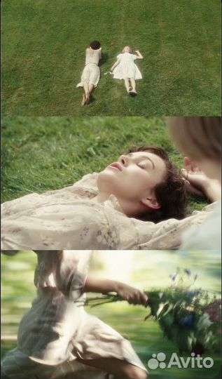 Фотограф и Видеограф