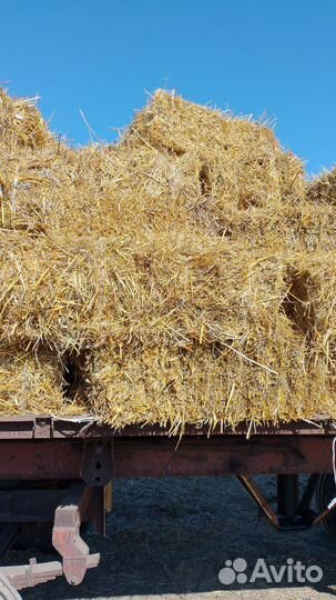 Сено люцерны и солома овсяная