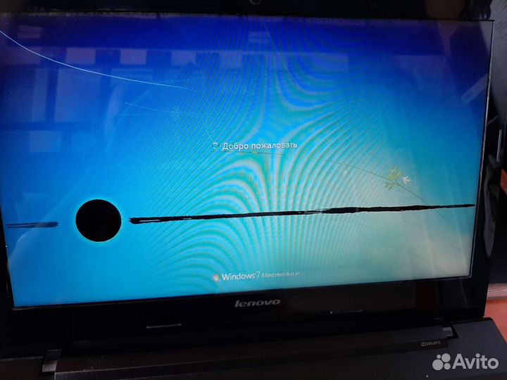 Ноутбук lenovo g50 45 целиком