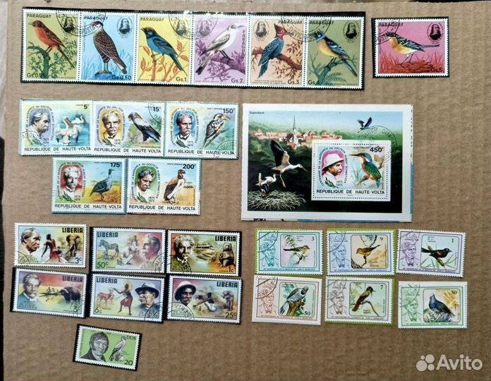 Птицы и цветы ученые первооткрыватели серии