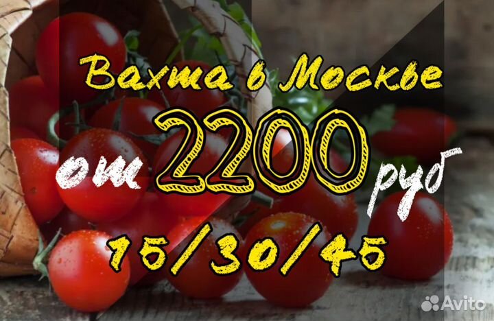 Вахта Фасовщик Томатов в Москве