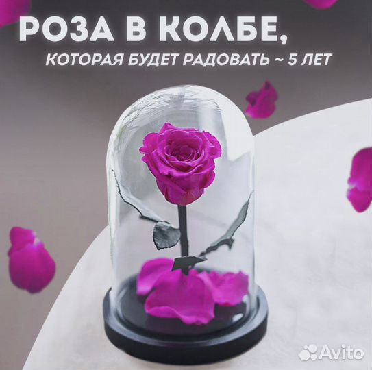 Вечная роза в колбе розовая
