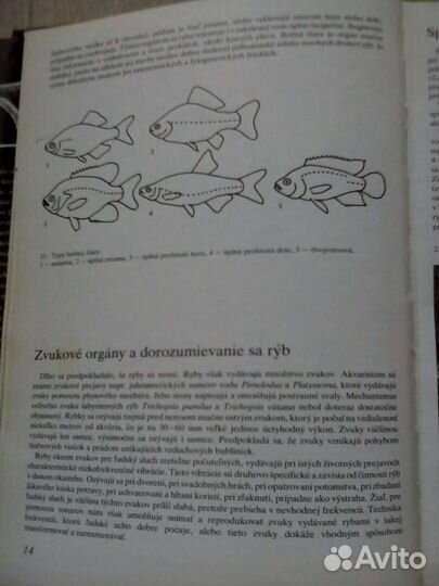 Книга Аквариум на чешском языке