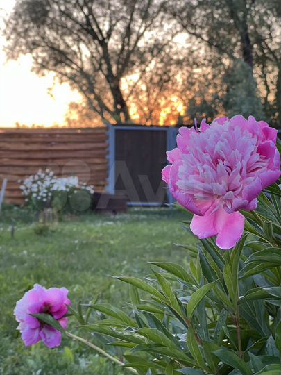 Дача 30 м² на участке 5 сот.