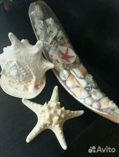 Статуэтки египетские, морские раковины, звёзды