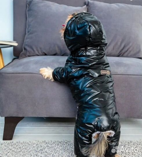 Комбинезон для собак